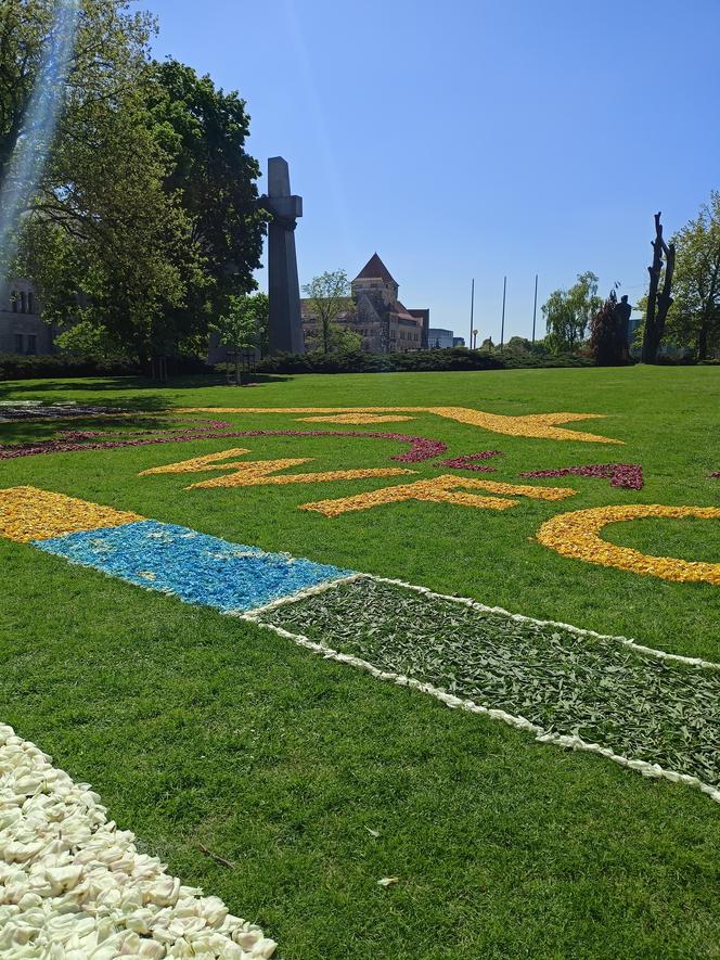 Dywany z kwiatów w Poznaniu