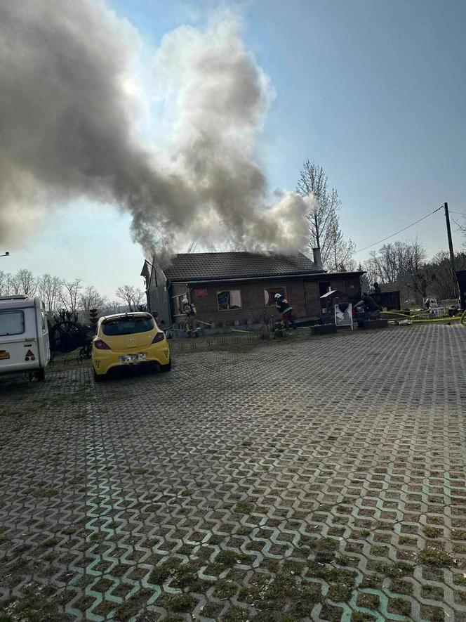 Ruszyła zbiórka na odbudowę budynku Muzeum Młynarstwa i Rolnictwa w Osiecznej. Zniszczył go ogień