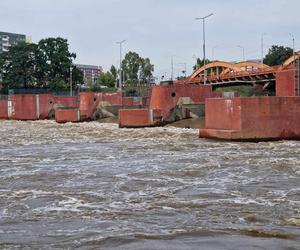 Mieszkańcy Wrocławia walczą z powodzią