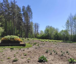 Arboretum w Kopnej Górze. Puszcza w pigułce