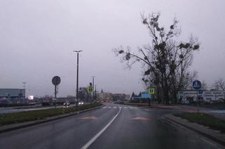 Uwaga Toruń! Będą nowe fotoradary na terenie miasta