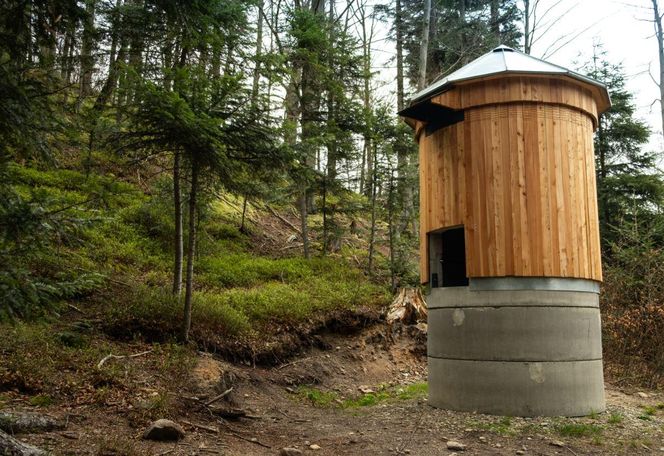 Wieża dla nietoperza. Pierwszy taki obiekt w Polsce powstaje na Podkarpaciu