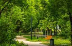 Park linearny przy ul. Suwak w Warszawie