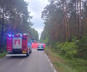 Zderzenie auta z łosiem zakończyło się tragedią