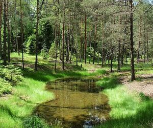 Kolorowe jeziorka w Bibieli na Pasiekach to atrakcja województwa śląskiego