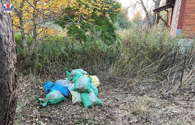 Lubelskie: Sąsiedzi uzbrojeni w taczkę, worki i łopaty ukradli z posesji 800 kg węgla