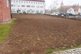 W centrum Olsztyna powstało… prawdziwe pole. O co chodzi?