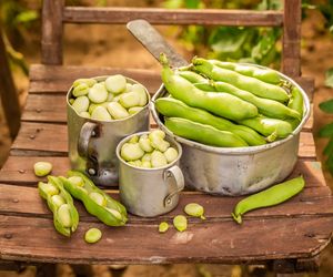 Bób - jakie właściwości ma ten letni przysmak?