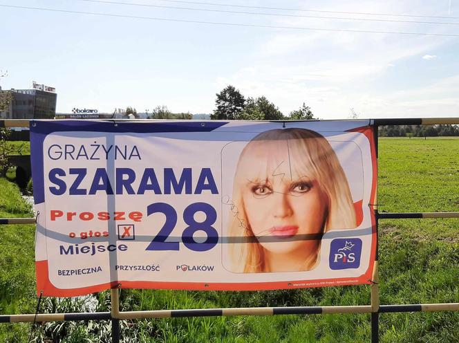 Rzeszowskie osiedla pozaklejane plakatami wyborczymi. Plakat na plakacie 