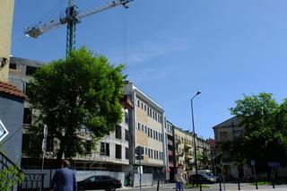 Spider-Man wspiął się na dźwig budowlany. Szokujące sceny w centrum miasta