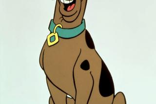 Scooby Doo ma 50 lat! Jubileusz kultowej kreskówki 