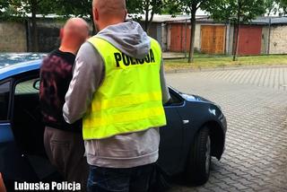 Lubuskie: Uciekał policjantom, a potem atakował ich maczetą. Policjanci użyli broni