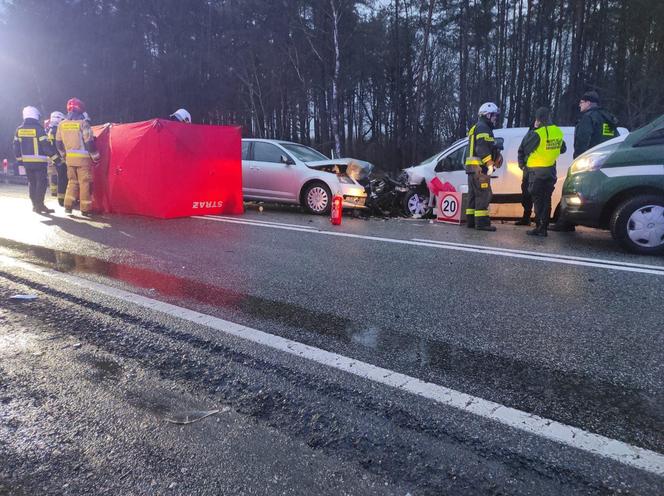 Tragiczny wypadek na DK 10 w Przyłubiu! Nie żyje jedna osoba, a kilka zostało rannych [ZDJĘCIA]