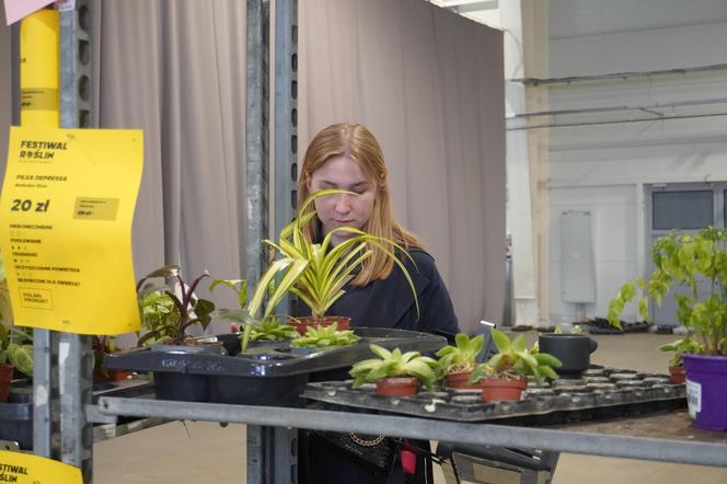 Festiwal Roślin w Lublinie