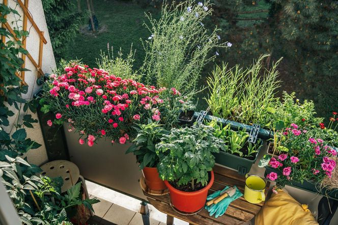 Balkon pod koniec lata