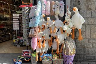 Nowy HIT na Krupówkach. Zakopane opanowała pewna... gęś