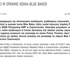 Stanowisko Komendy Wojewódzkiej Policji w Katowicach w sprawie konia Blue Bakera