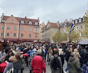 Miejskie obchody Dni Świętomarcińskich