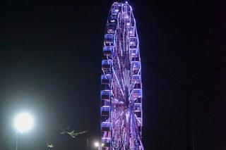 Oko Kopernika wieczorową porą. Tak wygląda w Toruniu