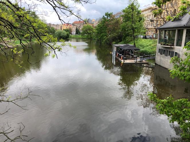 Pani Nina ratowała mężczyznę, który wpadł do fosy. Gapie wyciągnęli telefony i nagrywali 