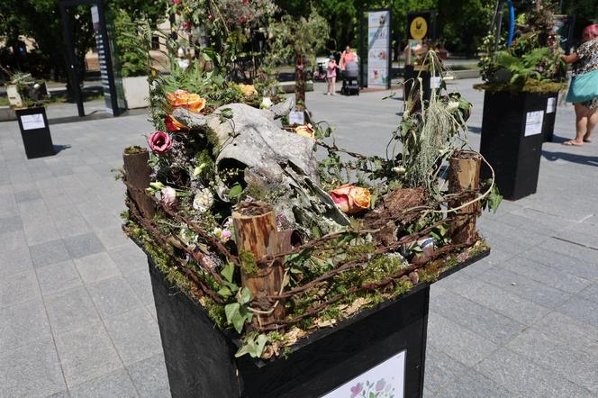 Weekend z florystyką w Lublinie. Zobacz imponujące roślinne instalacje w centrum miasta!