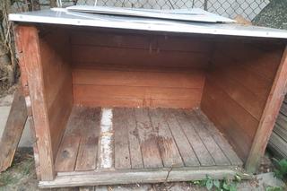 Banery ZDM pomagają zwierzętom