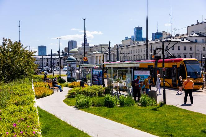 Warszawa jak ogród – okolice placu Bankowego