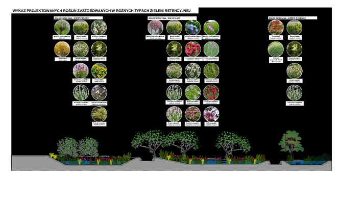 Osiedle Beauforta roślinność