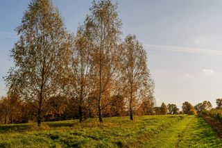 Mała wieś w woj. lubelskim z ważną historyczną atrakcją