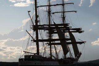 ParadaZagleGdyni2014_FotMZwierz_710136