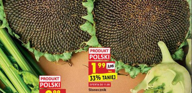 Nowe promocje w Biedronce od 9.08