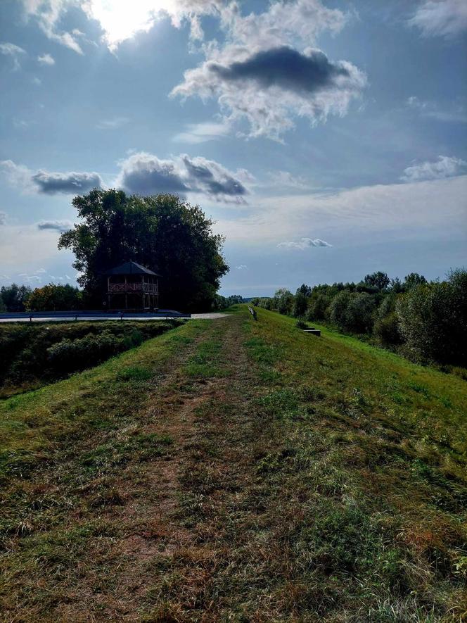 Stąd Hitler patrzył na przeprawę wojsk przez Wisłe. To pół godziny drogi z Bydgoszczy [ZDJĘCIA]