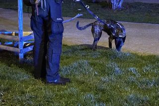 Napadał na seniorki w Warszawie. Wreszcie wpadł w ręce policji 