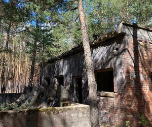 Ruiny byłej fabryki amunicji DAG podczas II wojny światowej w Lubuskiem