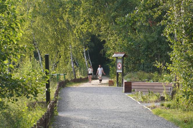 Park Leśny Tetmajera w Bronowicach