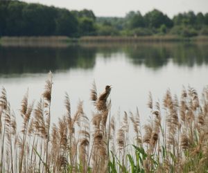 Zawody wędkarskie dla dzieci przyciągnęły w 2025 roku rekordową liczbę 148 uczestników
