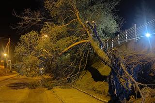 Prawowity weekend dla strażaków. Ponad 4 tysiące zgłoszeń z powodu wichur