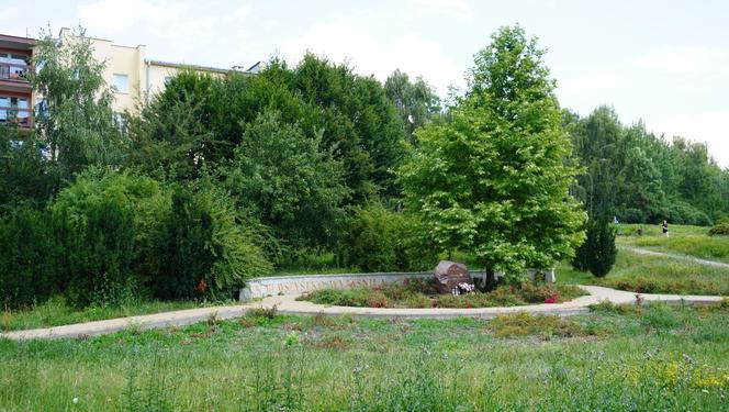 Lublin. „Filary porośnięte bluszczem” i nie tylko. Park Jana Pawła II w lipcowej odsłonie