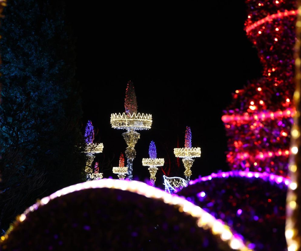 Lumina Park niebawem zacznie sezon. Znamy ceny biletów!