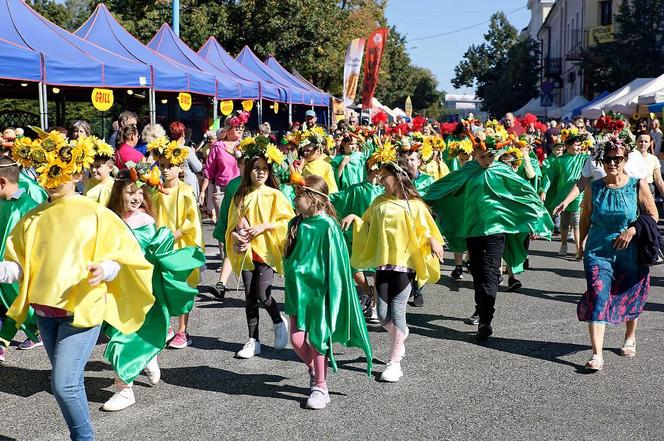 Święto kwiatów w Skierniewicach