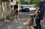 Myślał, że przechytrzy policję. 18-latek z Lubina po kolizji ukrył się w śmietniku, ale wytropił go pies Rampa