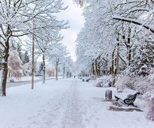 Pierwszy śnieg w Polsce. Znamy datę rozpoczęcia zimy