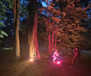 Olsztyn zamienił się w magiczną krainę. Park Świateł przyciągnął tłumy!