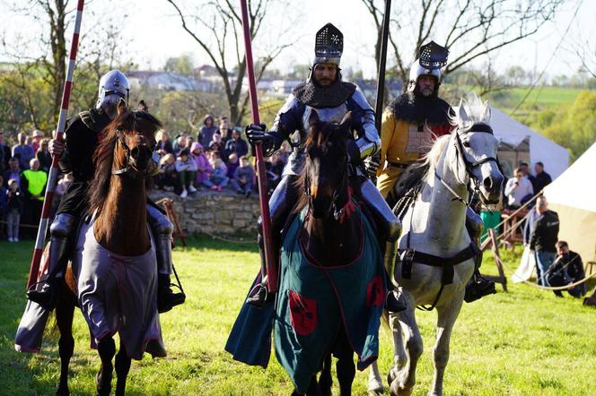 Turniej Rycerski na Zamku w Iłży. Dwa dni żywej lekcji historii 