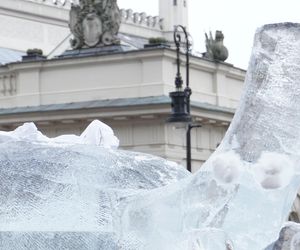 Poznań Ice Festival 2024 