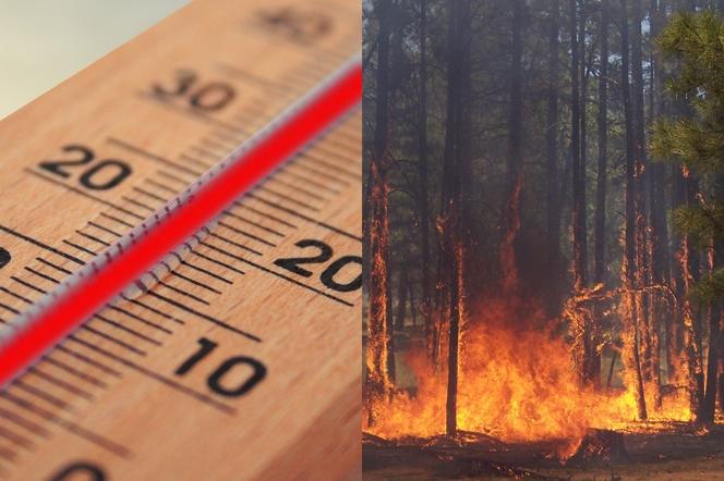 Padły rekordy temperatur! Są najwyższe od ponad dwóch lat. Rośnie ryzyko pożarów