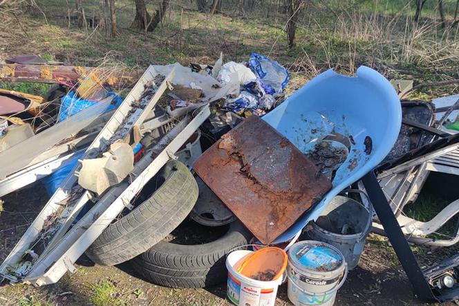 Aktywnie włączyli się w obchody Dnia Ziemi