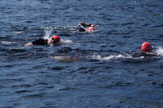 Enea Bydgoszcz Triathlon 2023. Sportowe emocje w centrum miasta! [ZDJĘCIA]