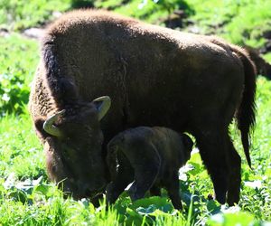 Tę atrakcję turystyczną otwarto 13 lat temu. Dziś przyciąga tłumy turystów