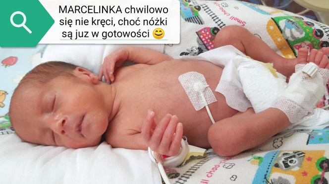 Czworaczki z Bydgoszczy urodziły się 3.03.2020